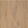 Invictus Maximus Silk Oak - Oat