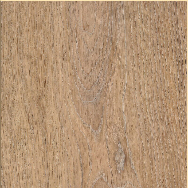 Invictus Maximus Silk Oak - Oat