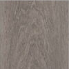 Invictus Maximus Silk Oak - Shade