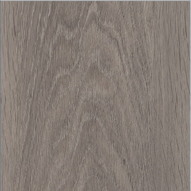 Invictus Maximus Silk Oak - Shade